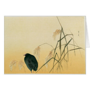 Blackbird, Edo Period