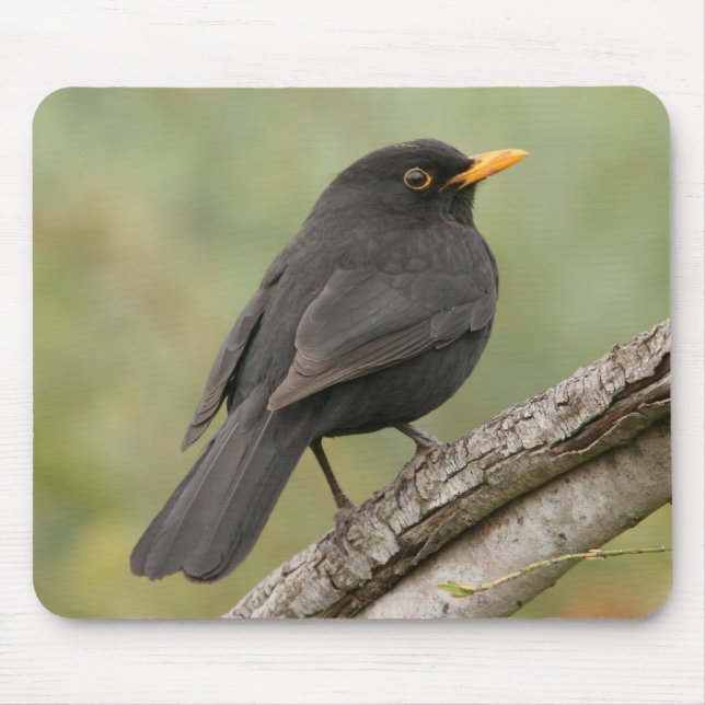 Blackbird Mouse Pad (Front)