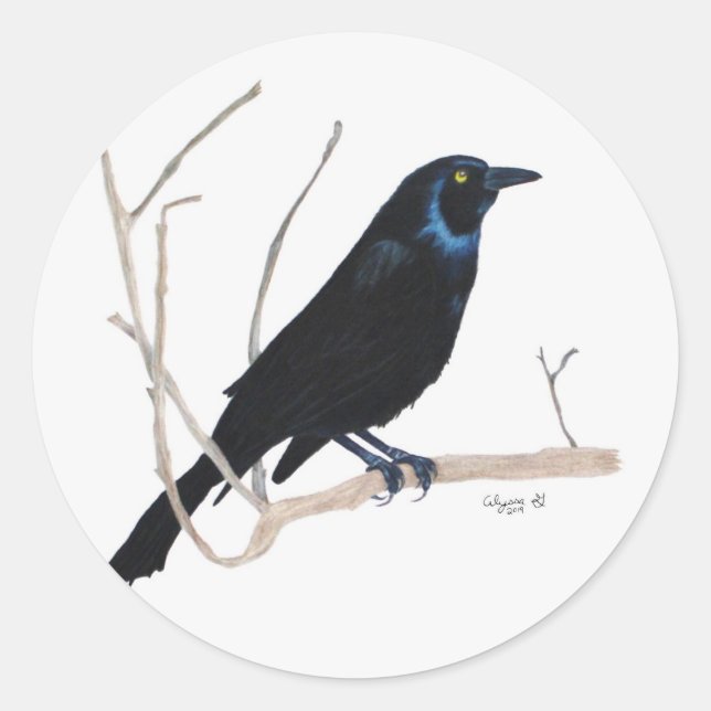 Blackbird Sticker (Front)