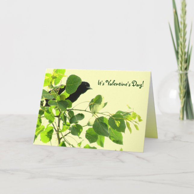 Blackbird Valentine Holiday Card (Front)