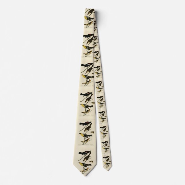 Blackbirds and Oriole, Audubon's Birds of America Tie (Front)
