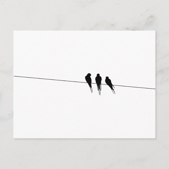 Blackbirds Silhouette on Wire Postcard (Front)