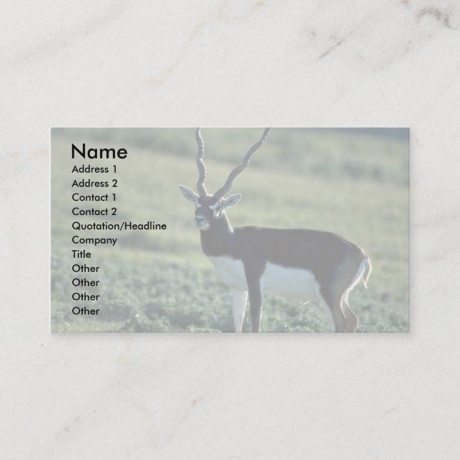 Blackbuck antelope business card (Front)
