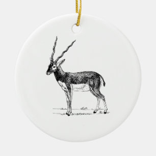 Blackbuck Antelope Ceramic Ornament