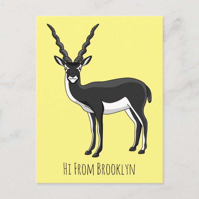 Blackbuck antelope illustration postcard (Front)