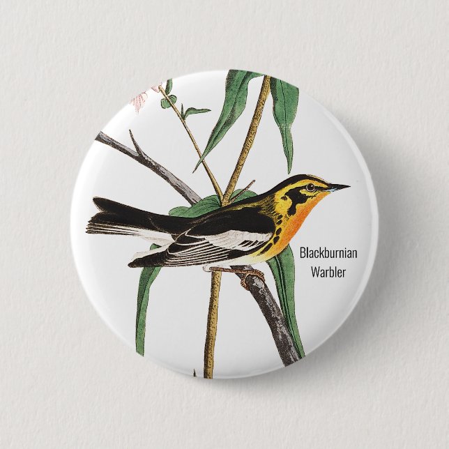 Blackburnian Warbler, Audubon, Wildlife Birder, 2 Inch Round Button (Front)