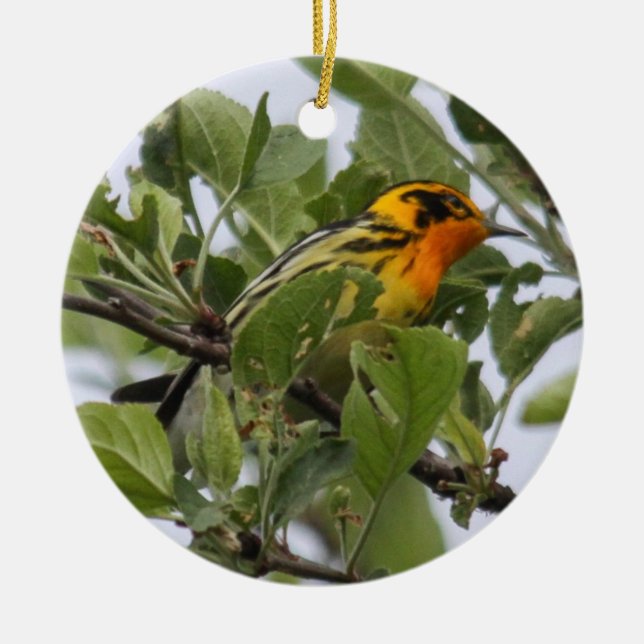 Blackburnian Warbler Ceramic Ornament (Front)