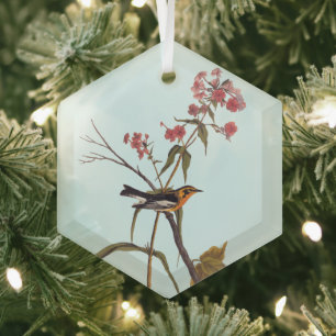 Blackburnian Warbler Vintage Audubon Songbird Art Glass Ornament