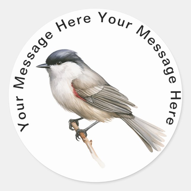 Blackcap Classic Round Sticker (Front)