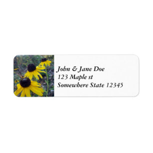 Blackeyed Susans