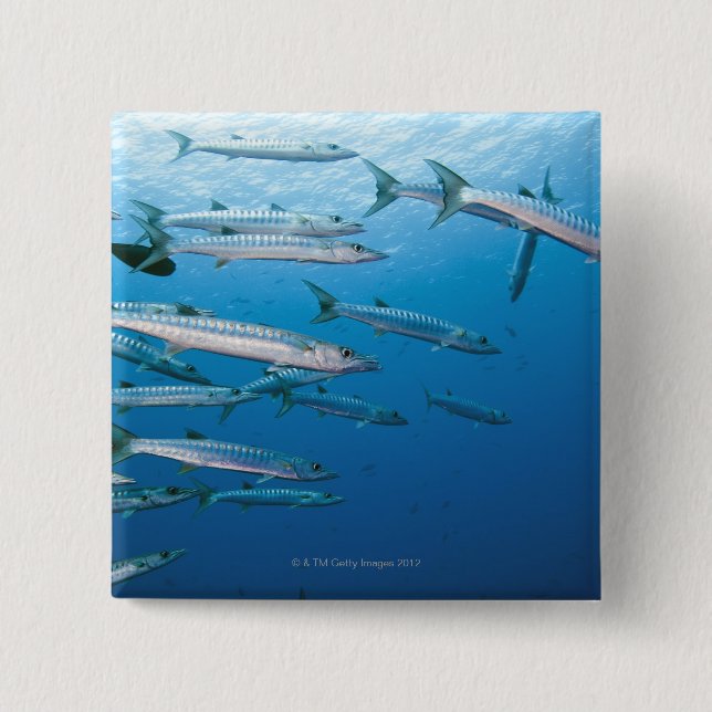 Blackfin Barracuda 2 Inch Square Button (Front)