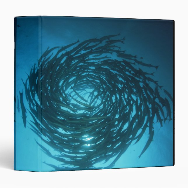 Blackfin barracuda swimming in circles binder (Front/Spine)