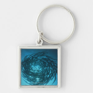 Blackfin barracuda swimming in circles keychain