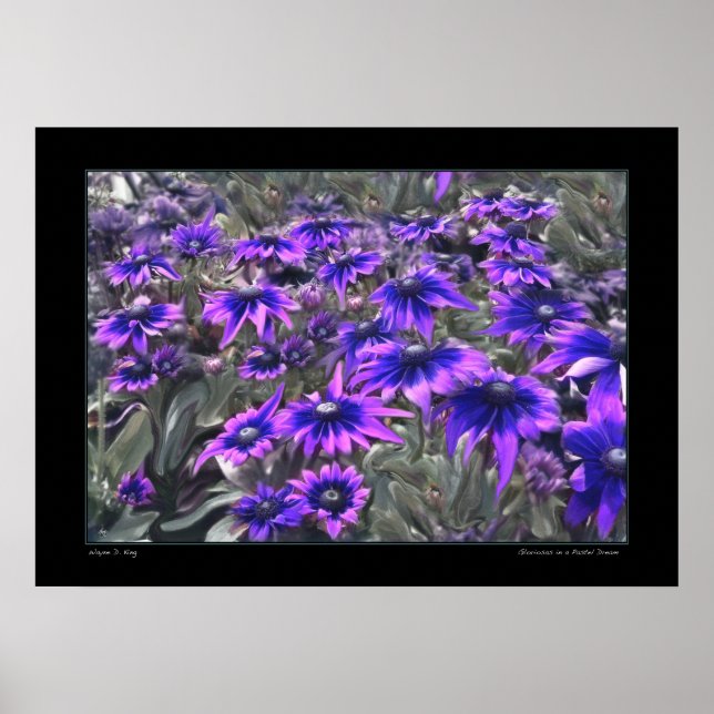 Blacklight Moment in the Gloriosa Poster (Front)