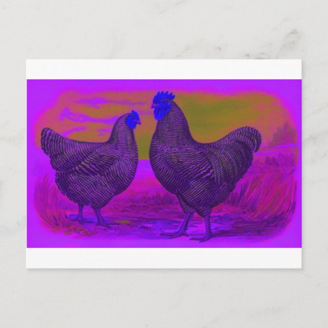 BlackLight Postcard (Front)