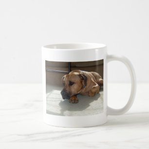 blackmouth cur laying coffee mug