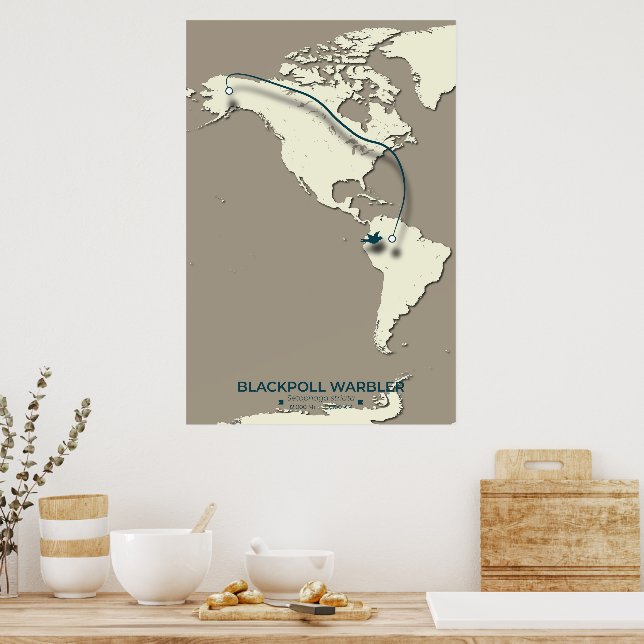 Blackpoll Warbler Migration Map – Minimalist Poster (Kitchen)
