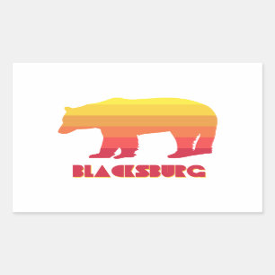 Blacksburg Virginia Rainbow Bear Sticker
