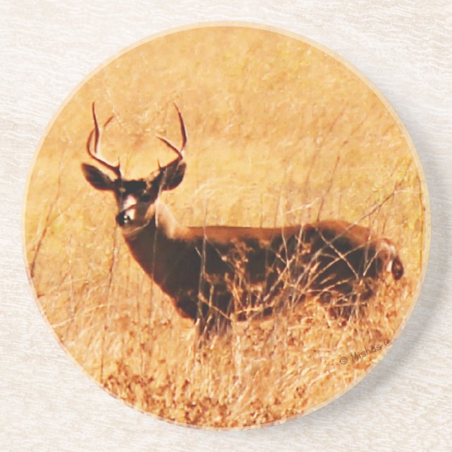 Blacktail Buck Coaster (Front)
