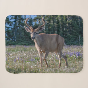 Blacktail Deer Buck   Olympic National Park Sherpa Blanket