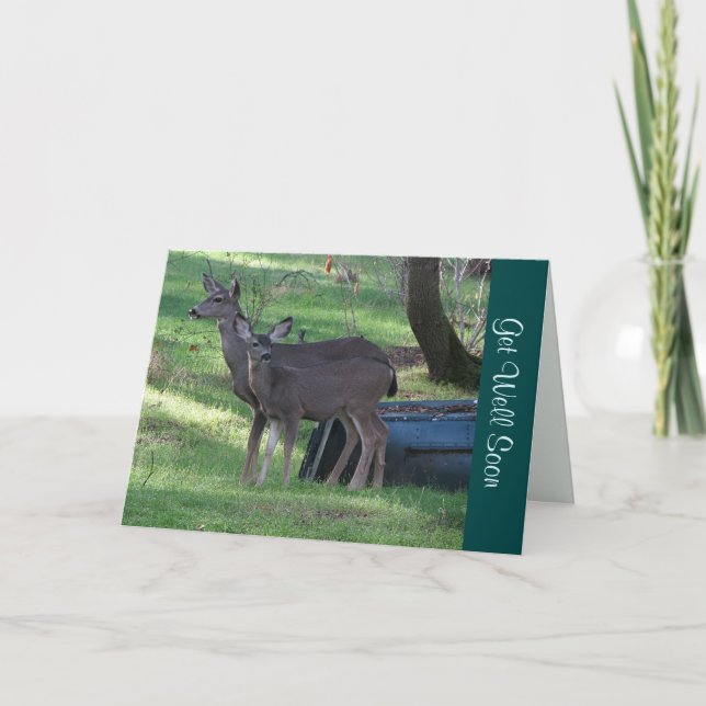 Blacktail Deer Get Well Soon Note Card (Front)