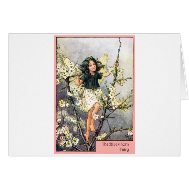 Blackthorn Fairy (Front Horizontal)