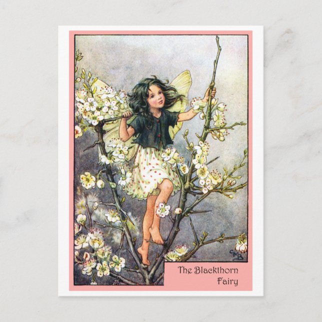 Blackthorn Fairy Postcard (Front)