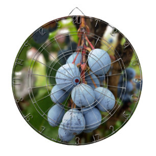 Blackthorn fruit dartboard