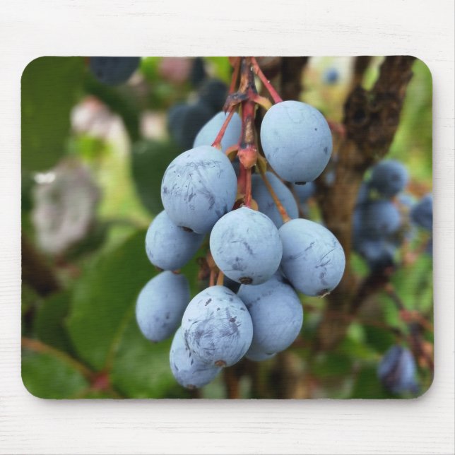 Blackthorn fruit mouse pad (Front)