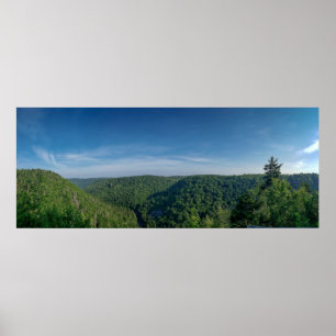 Blackwater Canyon, Blackwater Falls State Park, WV Poster