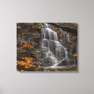 Blackwater Falls State Park Canvas Print