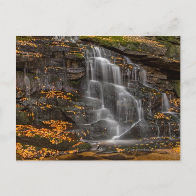 Blackwater Falls State Park Postcard (Front)