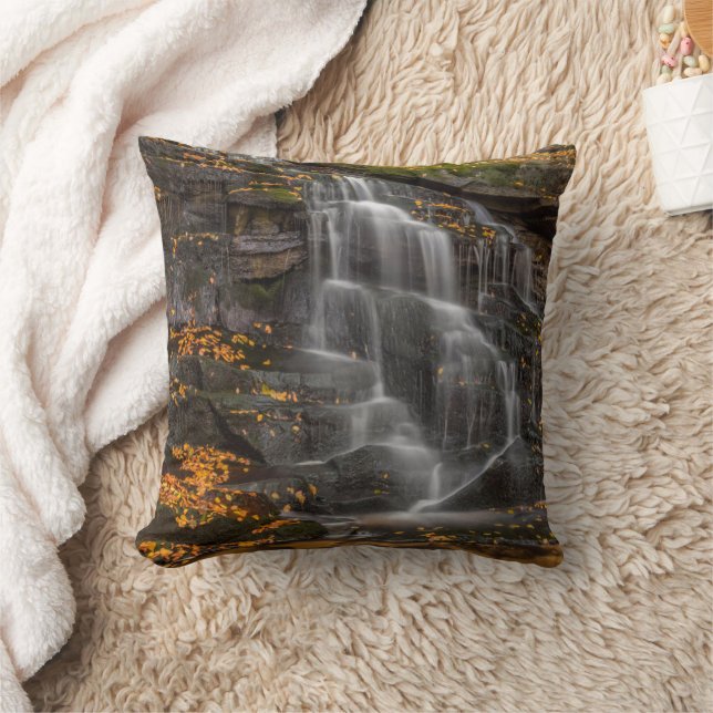 Blackwater Falls State Park Throw Pillow (Blanket)