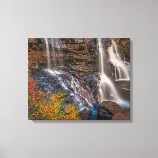 Blackwater Falls State Park | West Virginia Canvas Print (Front)