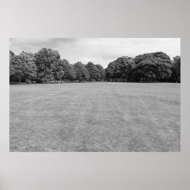 Blackweir Fields, Bute Park, Cardiff. (B&W) Poster (Front)