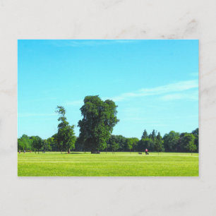 Blackweir Fields. Bute Park, Cardiff, Wales. Postcard