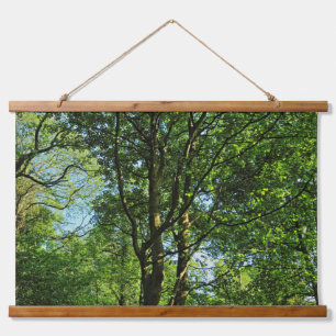 Blackweir Woods, Bute Park, Cardiff Wales Hanging Tapestry