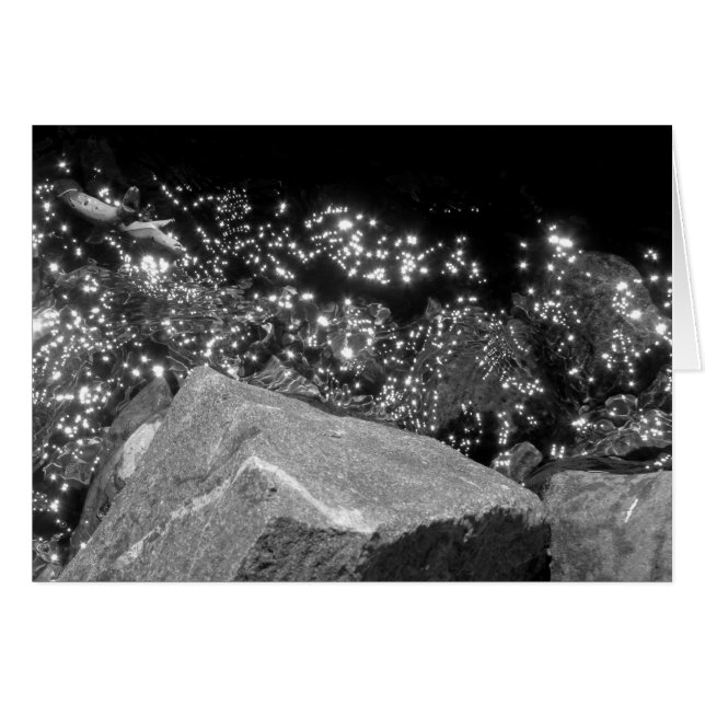 Blackwood Canyon, Lac Tahoe (Devant horizontal)