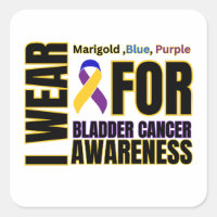 Bladder Cancer Awareness Ribbon
