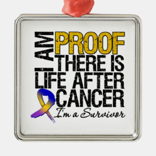 Bladder Cancer Proof There is Life After Cancer Metal Ornament