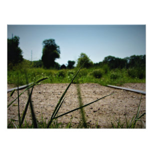 "Blades of Cultivation" Photo Print