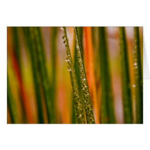 Blades of grass