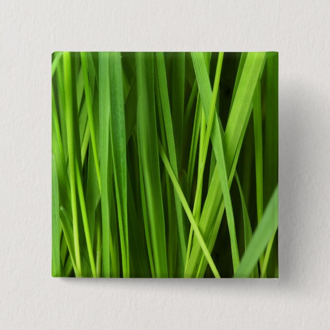 Blades of Grass 2 Inch Square Button (Front)