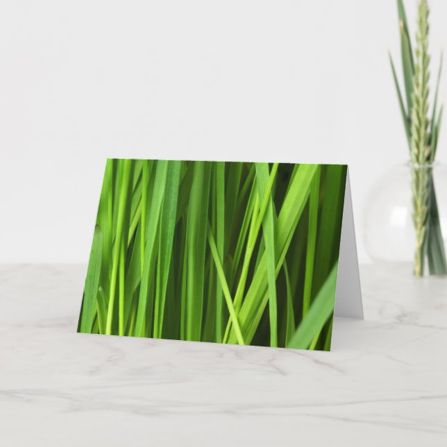 Blades of Grass Card (Front)
