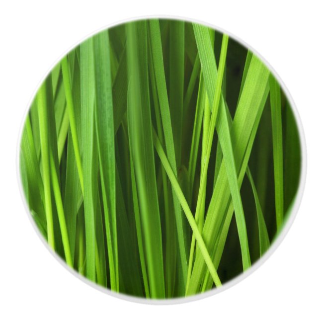Blades of Grass Ceramic Knob (Front)