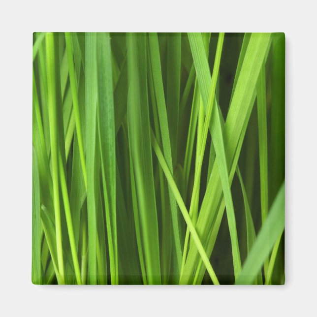 Blades of Grass Magnet (Front)