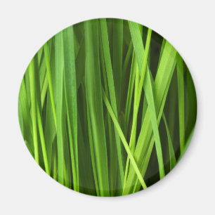 Blades of Grass Magnet