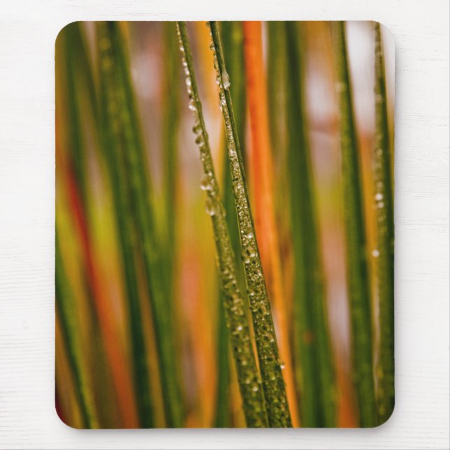 Blades of grass mouse pad (Front)