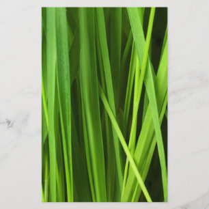 Blades of Grass Stationery
