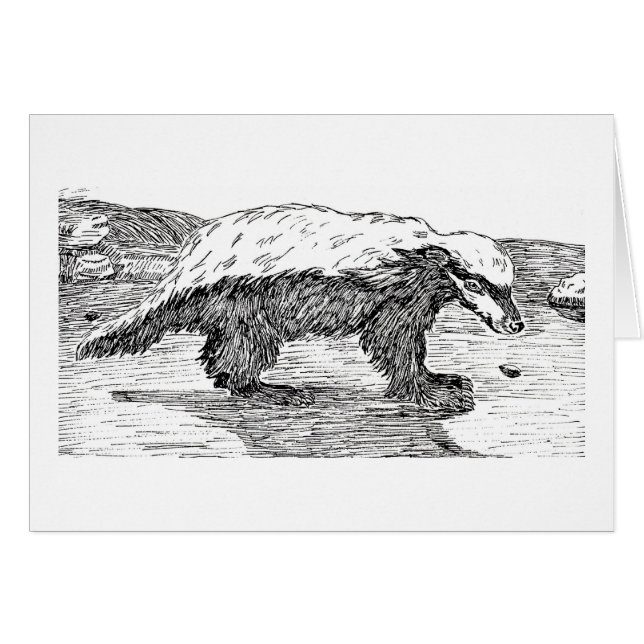 Blaireau de miel ou Ratel (Devant horizontal)